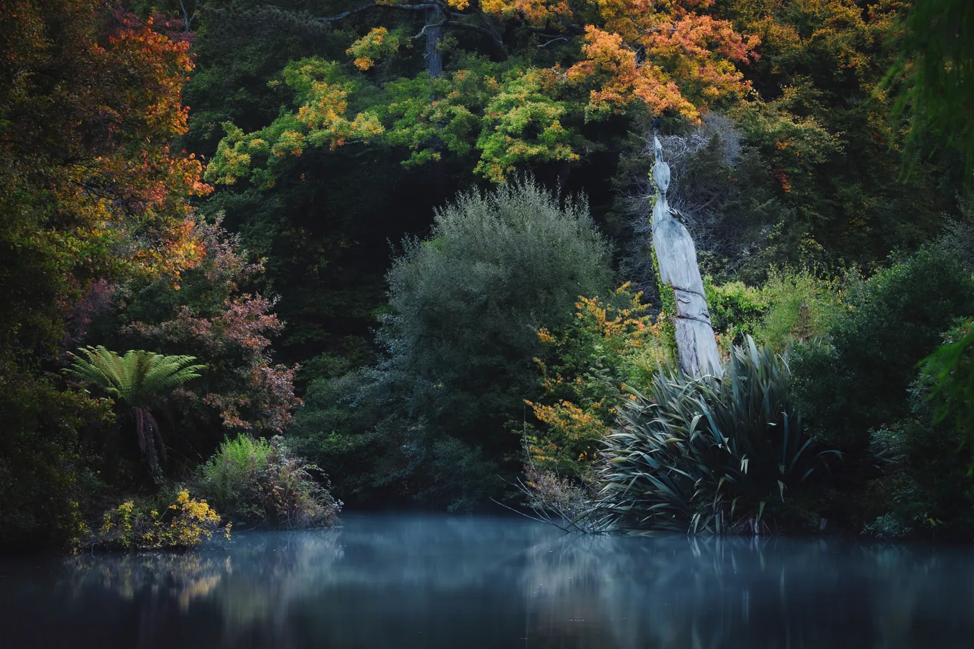 One of the lakes at Holly Hill Woodland Park in autumn. The lakes and ponds are the focus of the restoration