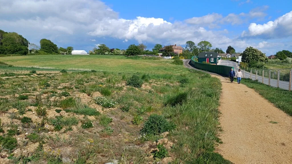 Footpath and field on the northern edge of the Welborne Garden Village development. The school site is a former agricultural field in this part of the new town